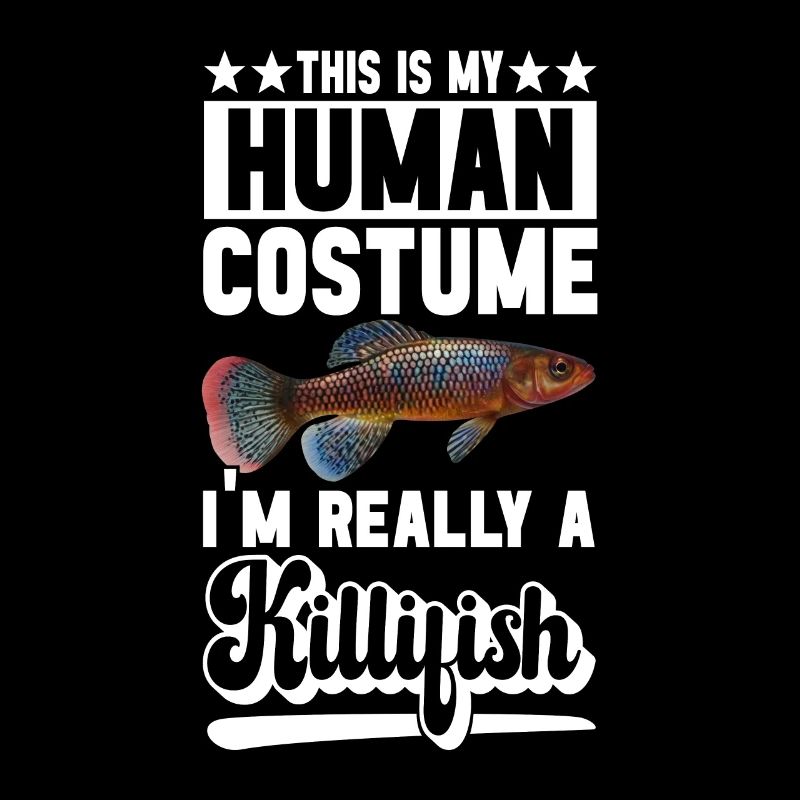Killifish Quarium Fish