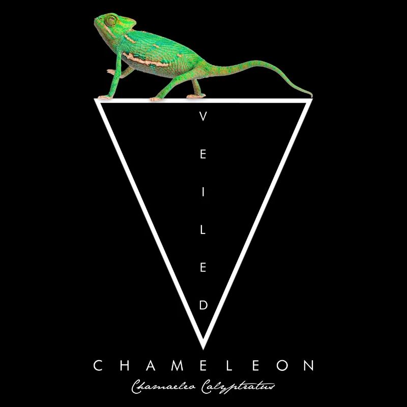 Veiled Chameleon Geometric Reptile Keeper