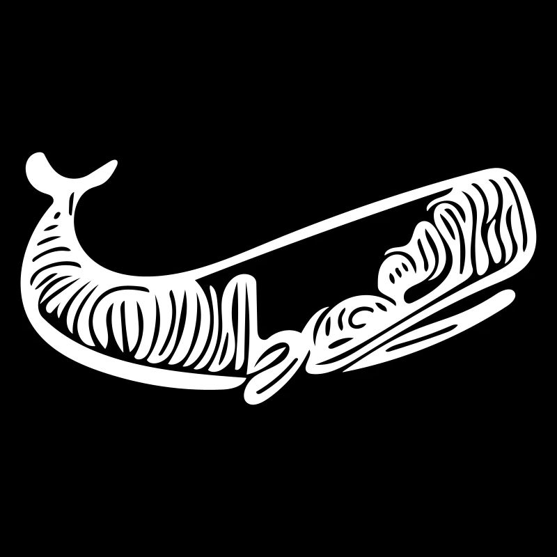 Vector Whale Drawing Style