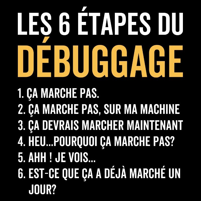 Cadeau Informatique Rigolo pour Programmeur