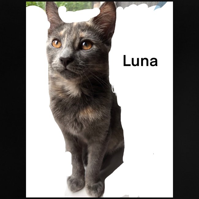 Luna The Kitten and Quote Combination