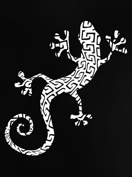 Trama di geco