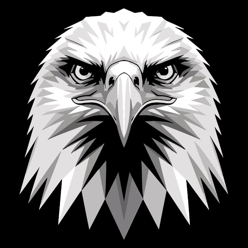 Aigle Pygargue à tête blanche Aigle royal Pygargue à queue blanche