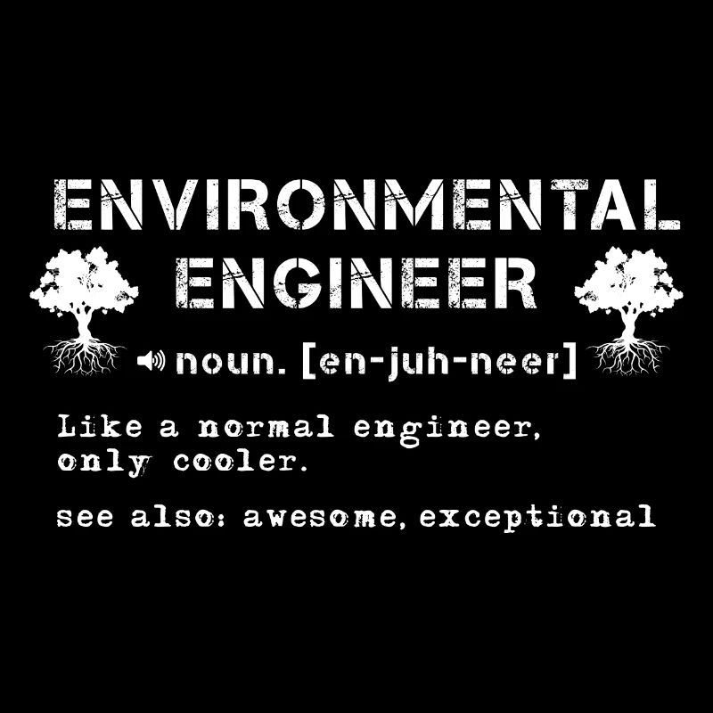 Environmental Engineer Definition
