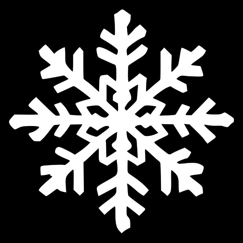 Snowflake Snow Winter Christmas Cold 5