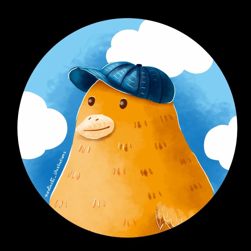 Duck with hat