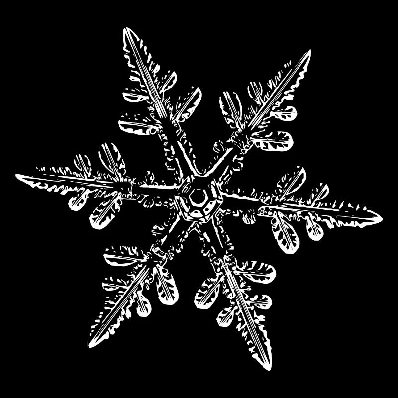 snowflake 8 white