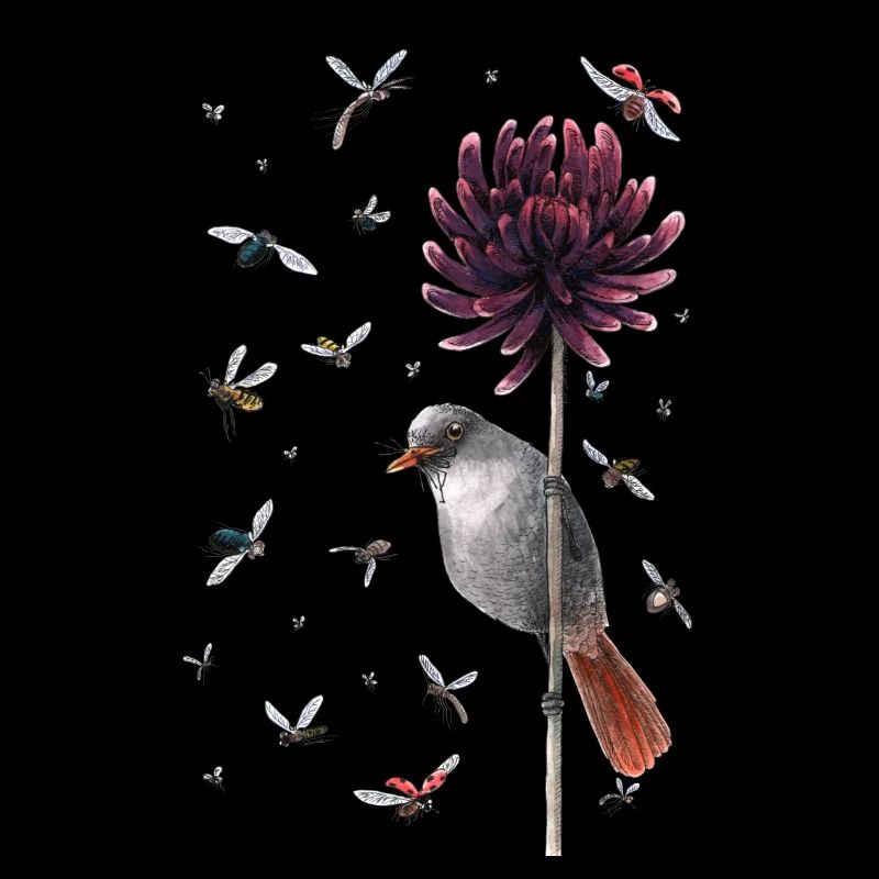 bird & fly