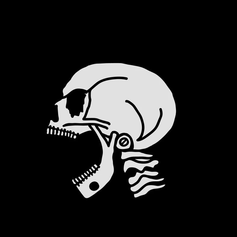 Skull Chain Punk-2c