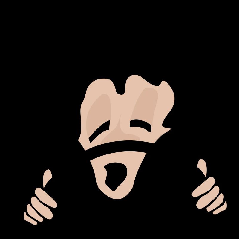 Fahrer