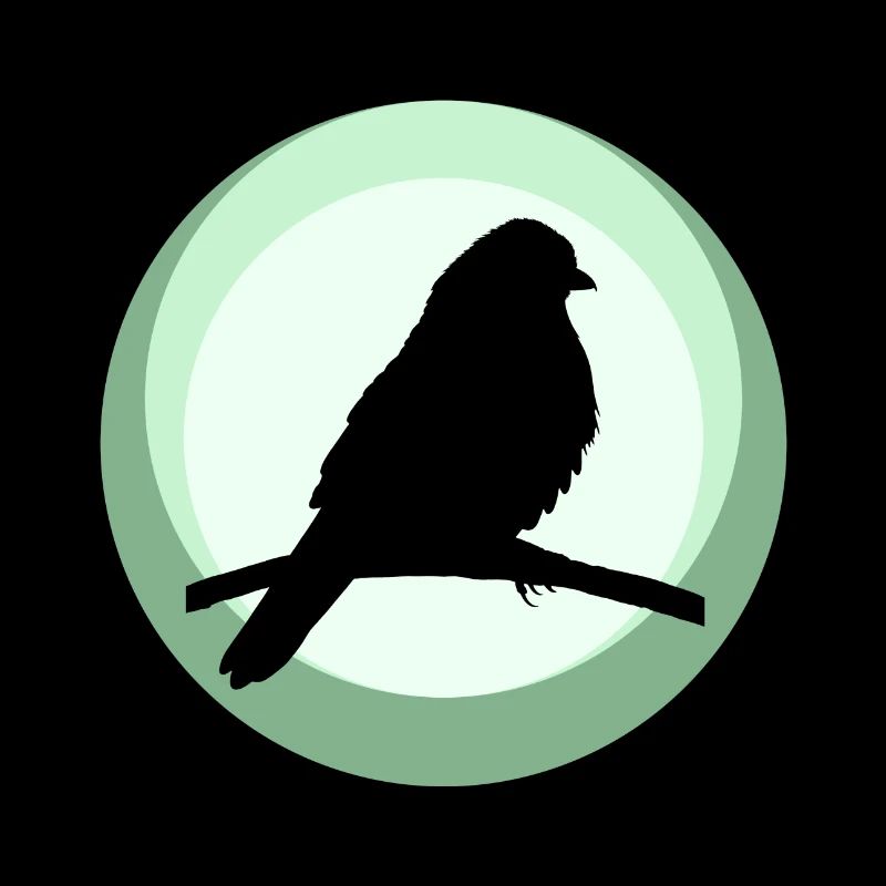 Sittich Tier Vogel Abbildung