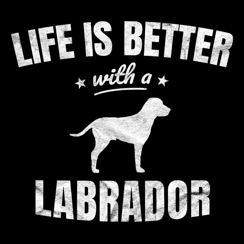 Labrador Retriever Cadeau drôle