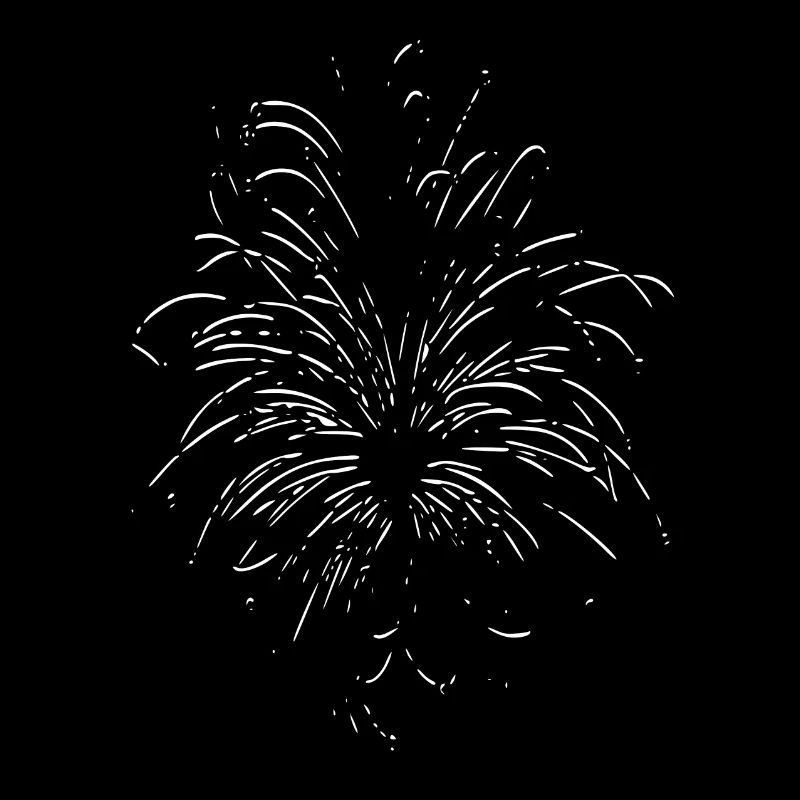 Feux d’artifice blanc / Firework blanc