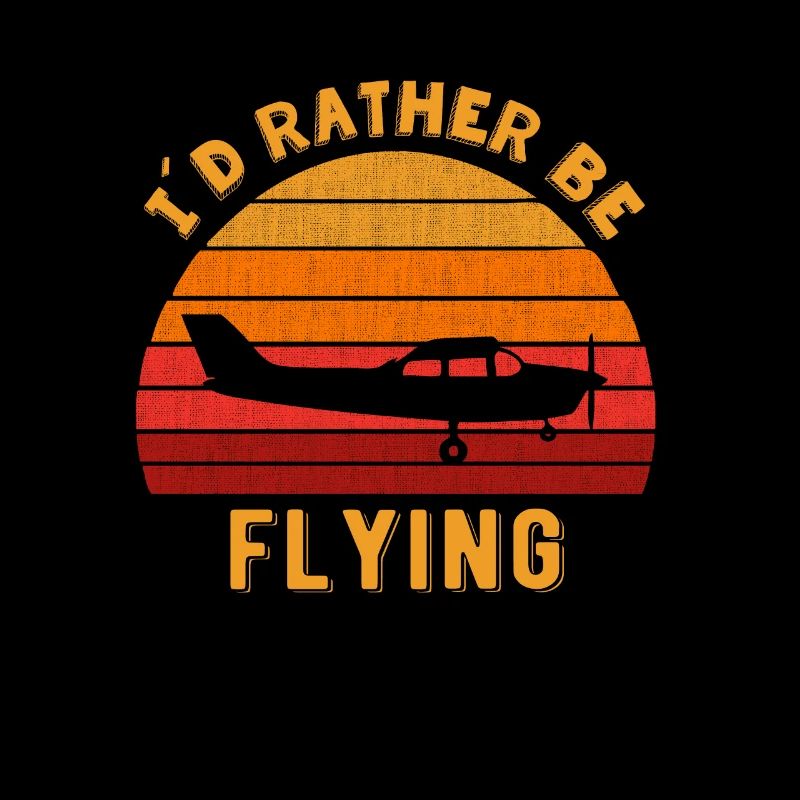 Flying Aviation Design C172 Flugzeugliebhaber