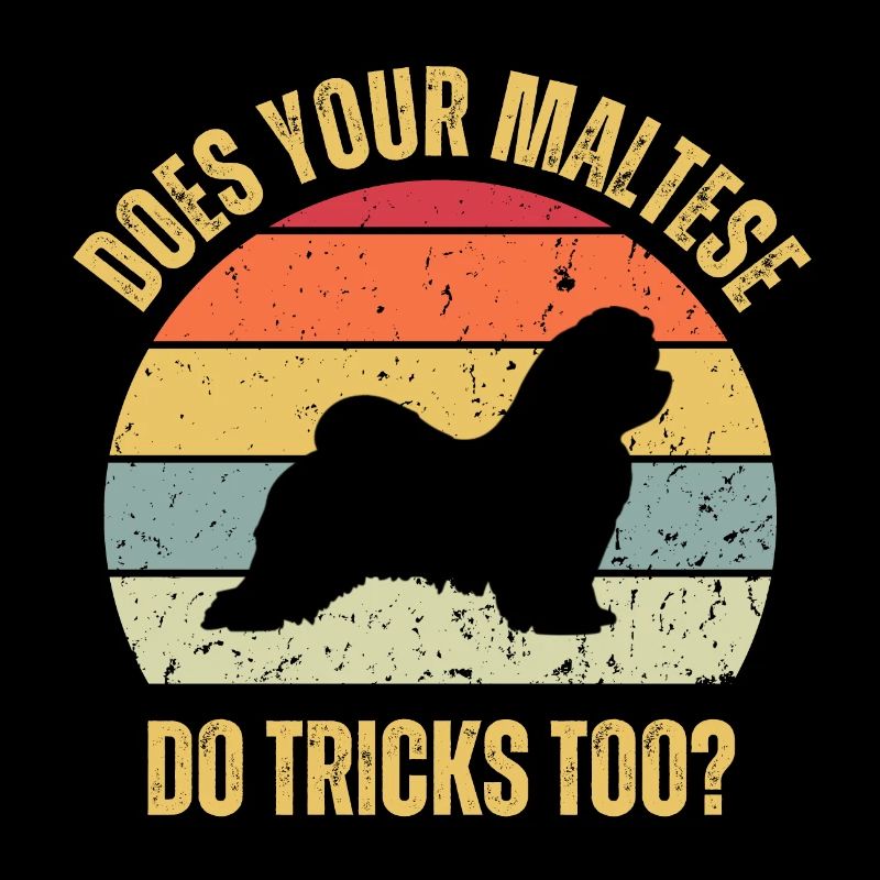 Does Your Maltese Do Tricks Too