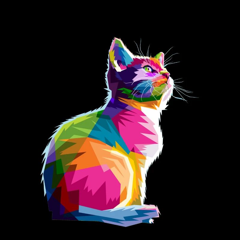 Cat colours