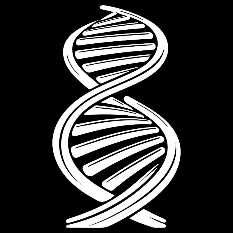 DNA strand nucleotide chain two single strands