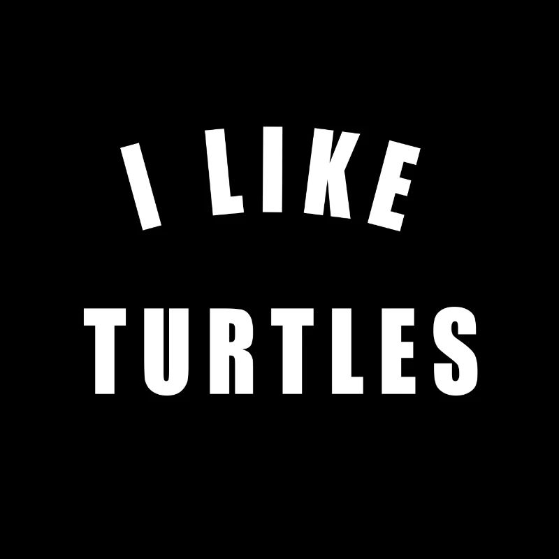 I LIKE TURTLES! GIFT IDEA