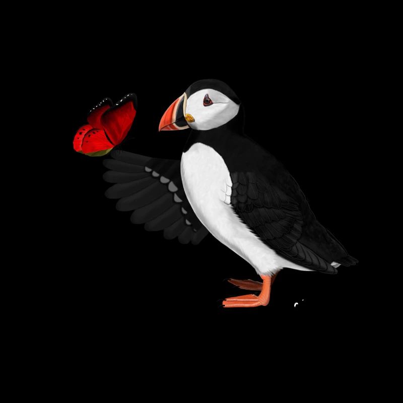 Atlantic Puffin Red Butterfly Gift