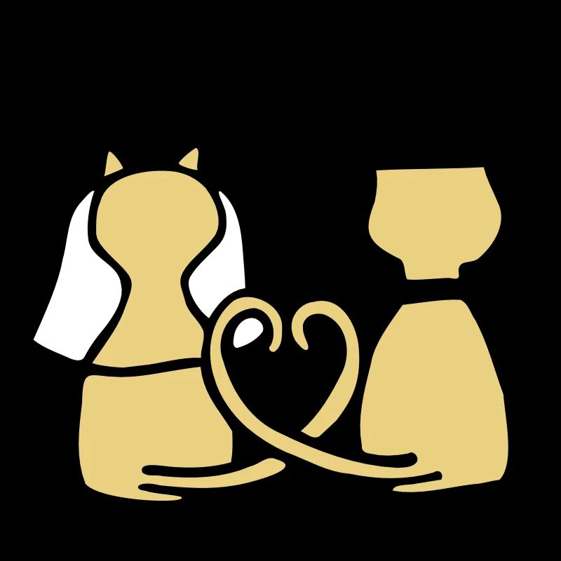 cat wedding