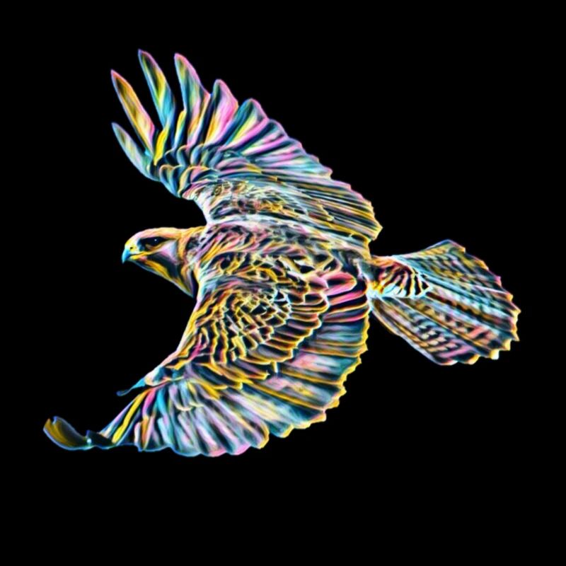 Falcon
