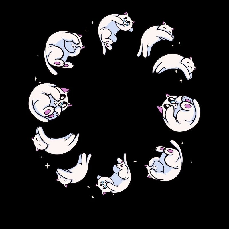 Süße Mondphase Astrologie Katze Wicca Hexe