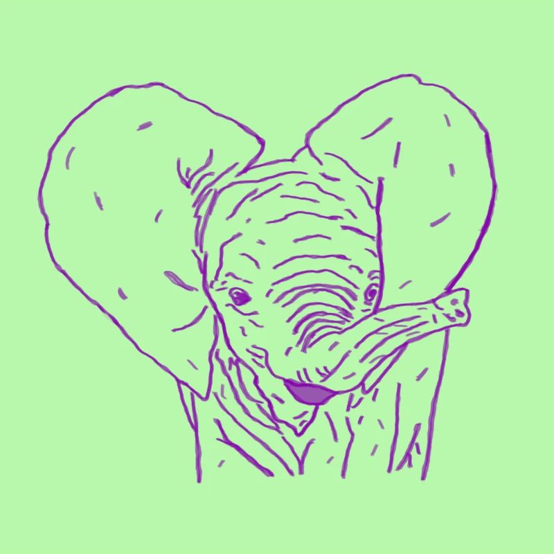 Bébé éléphant coloré