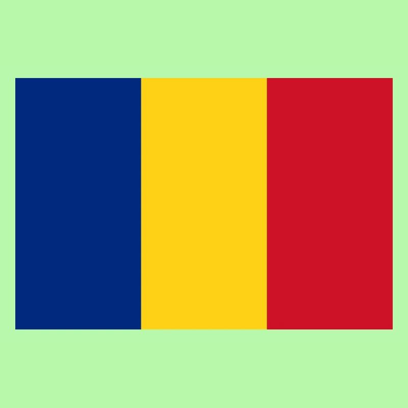 DRAPEAU DE ROUMANIE