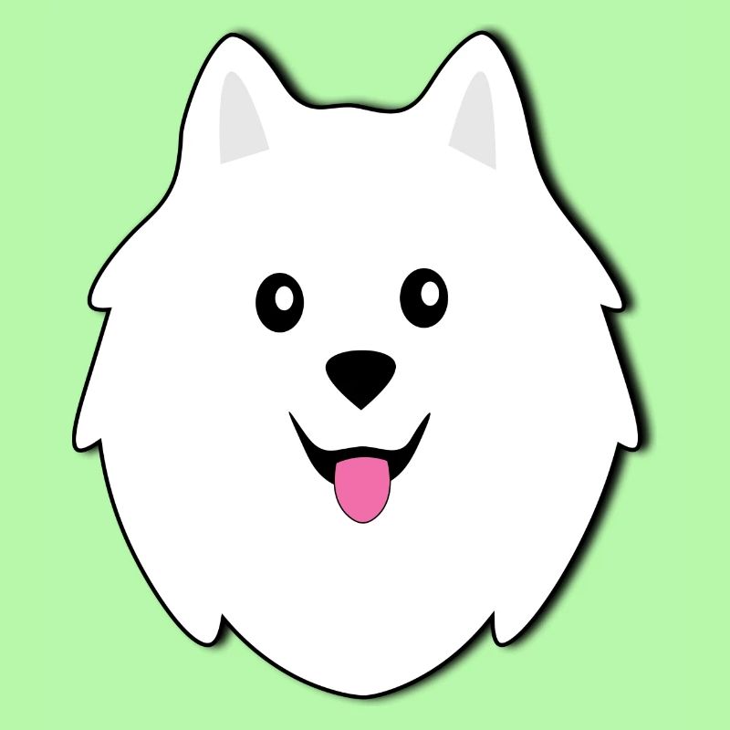 Samoyed