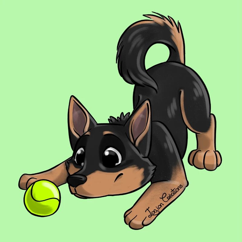 Der süßeste Kelpie