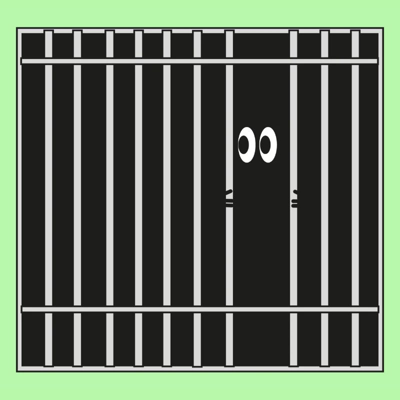Bars, prison