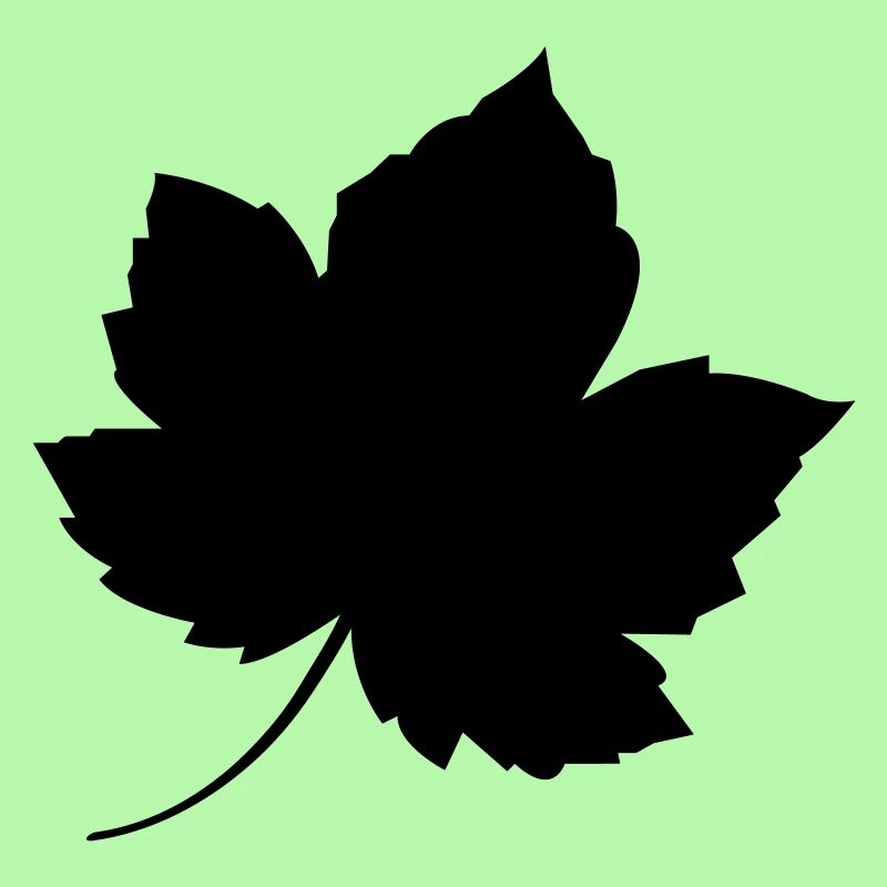leaf