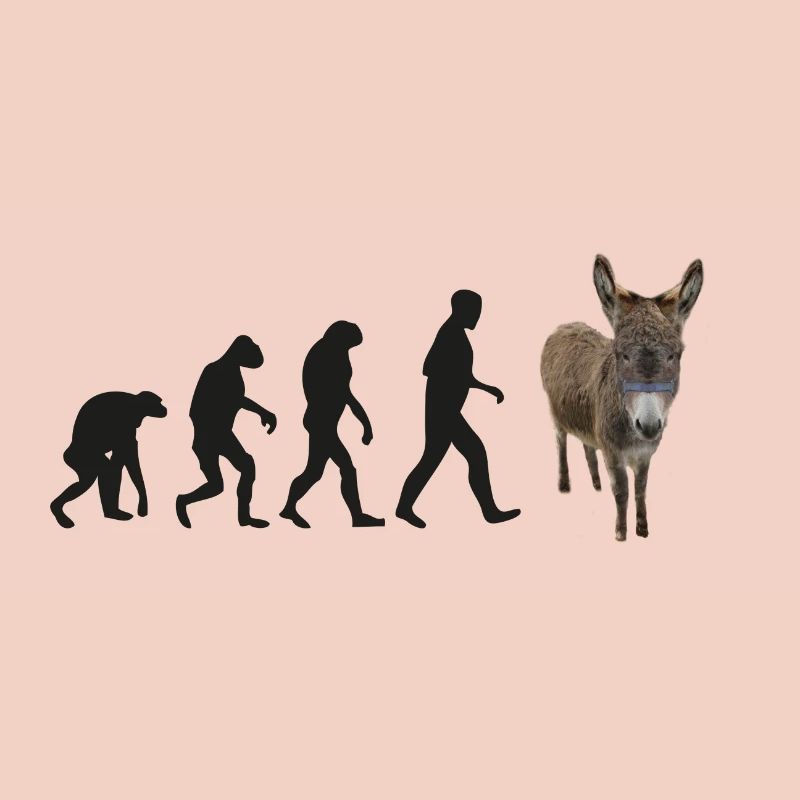 donkey evolution