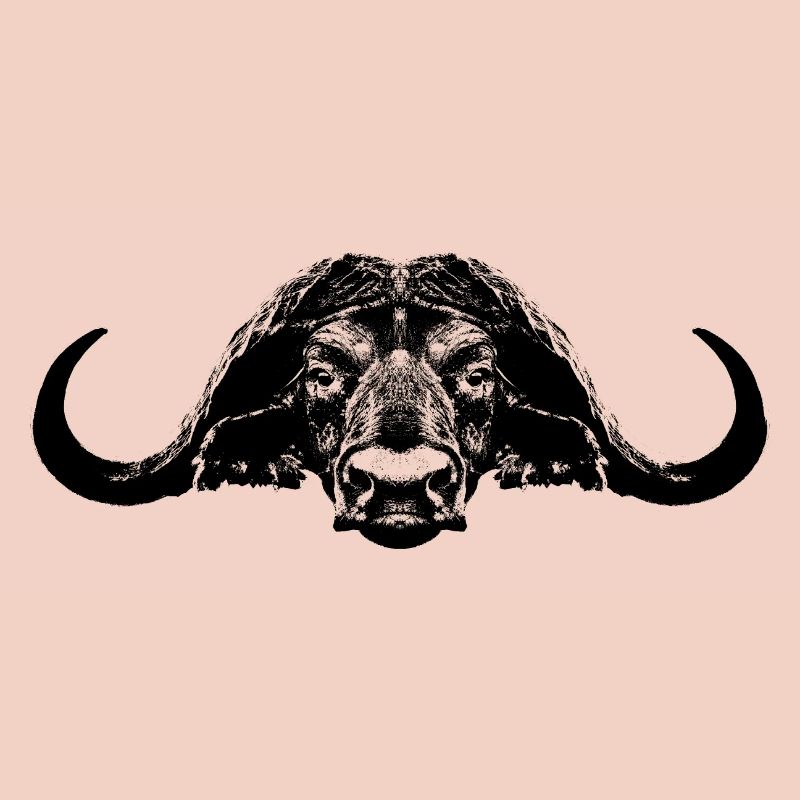 Buffalo / Buffle du Cap / Taureau