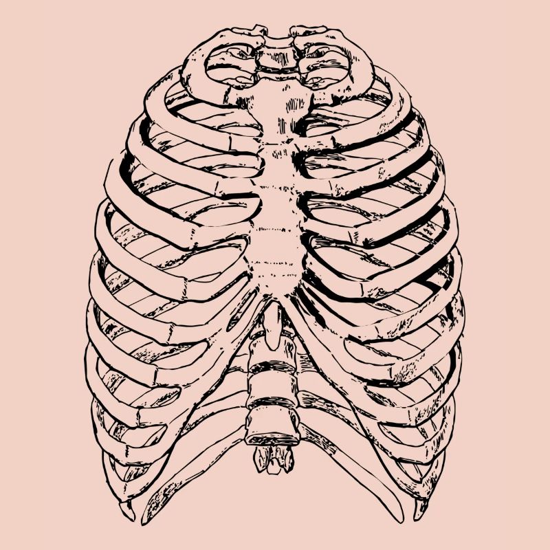 Thorax - thorax. A great gift Halloween