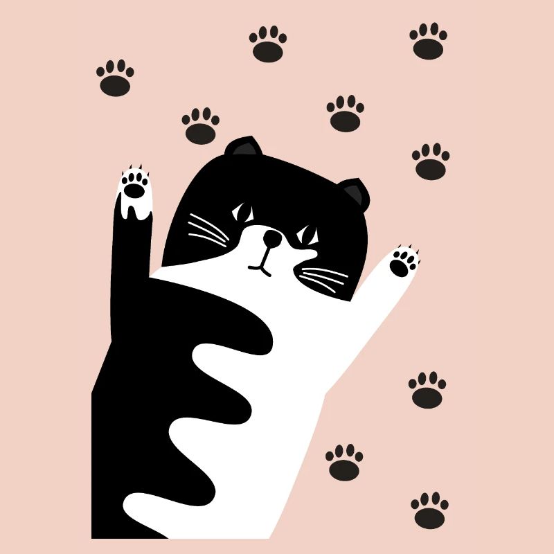 Chat noir et blanc