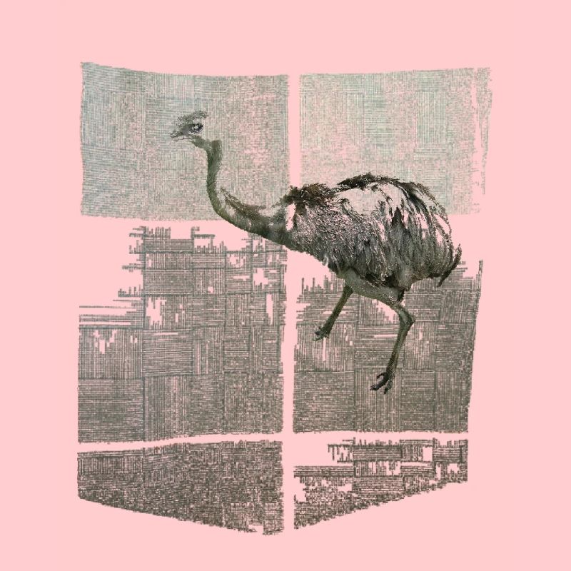 Conception de poches poitrine avec Nandu