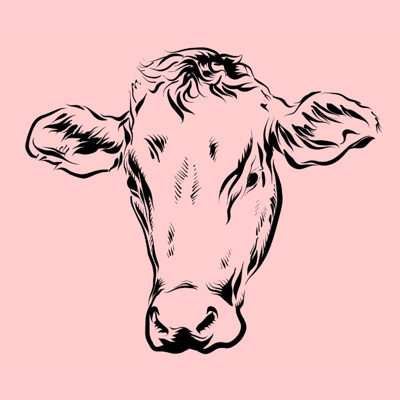Vache Vaches