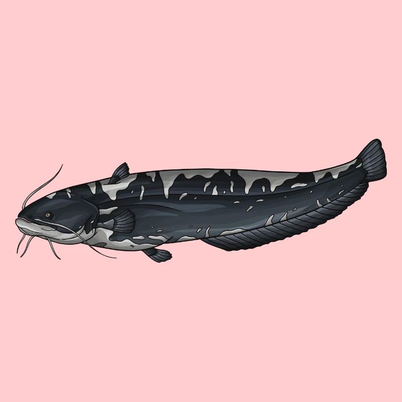 Conception européenne de la pêche au Silurus