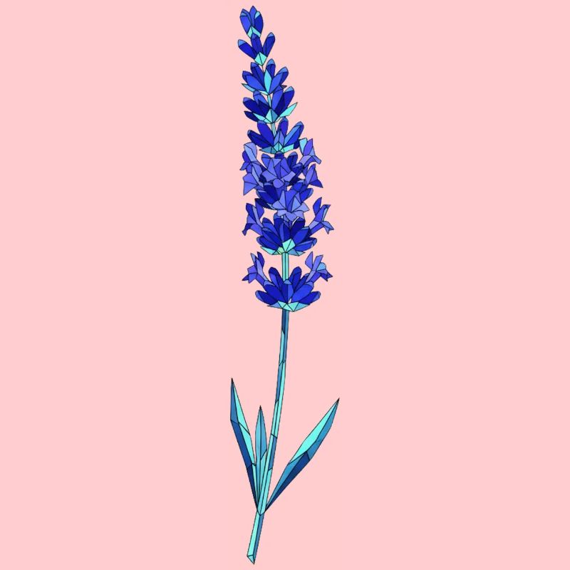 Blaue Lavendel-Glasblume