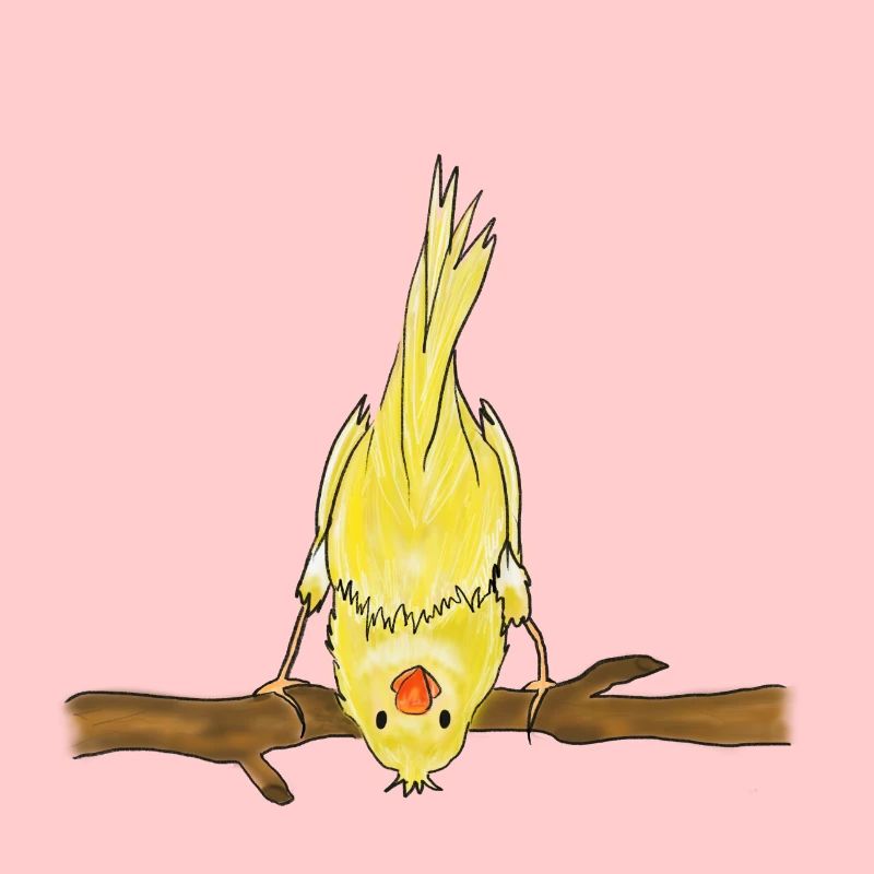 Cute Bird on Branch Illustration