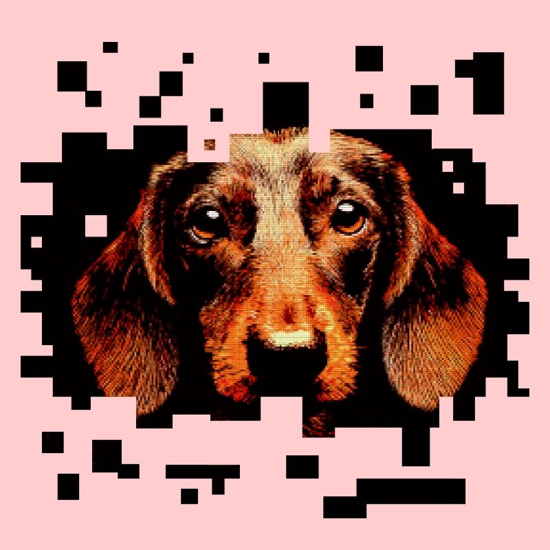 Teckel à poil dur pixelart
