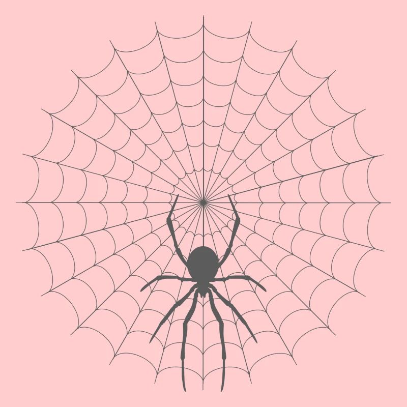 Spider Web Silhouette