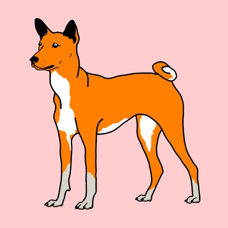 Ingwer Hündchen
