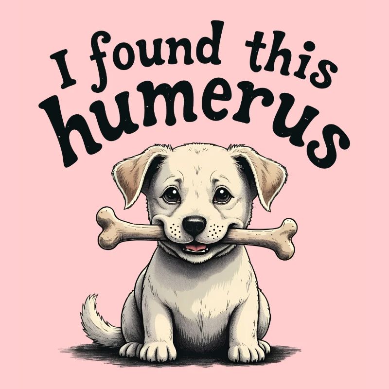Ich habe diesen Humerus gefunden
