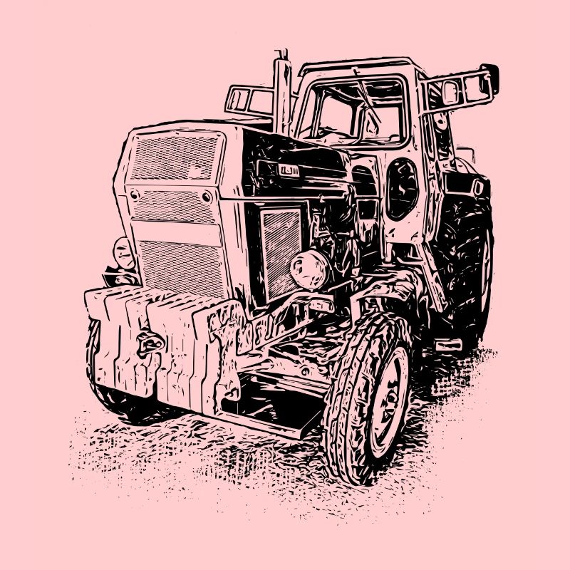 Traktor Fortschritt ZT 303 E