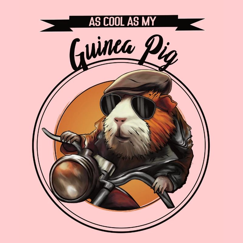 Cobaye cool – design statement