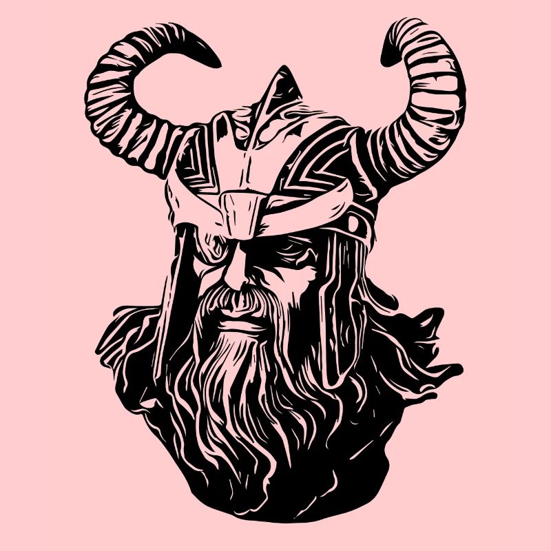 Odin Wikinger