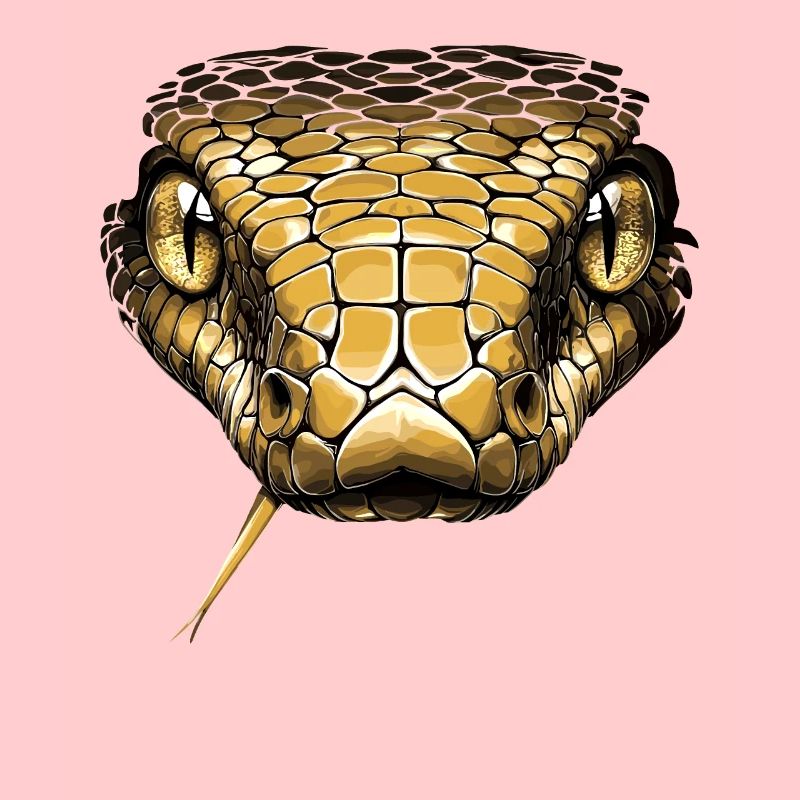 Snake Python Cobra Mamba Rattlesnake Snake