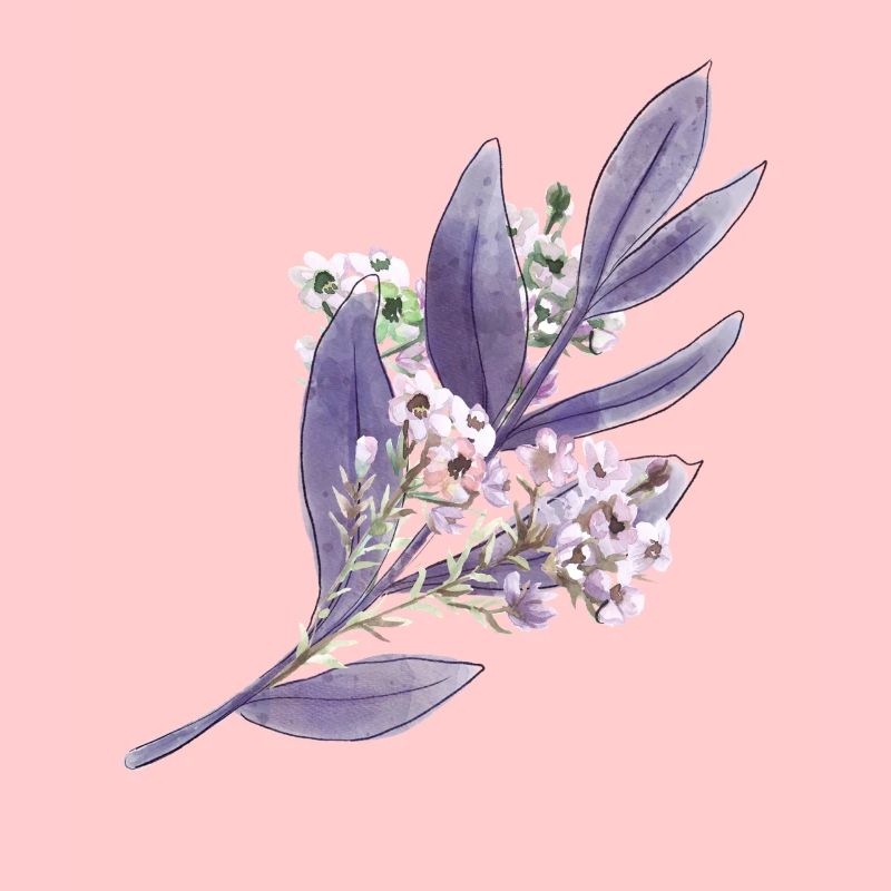 Purple Lavender Floral Pattern